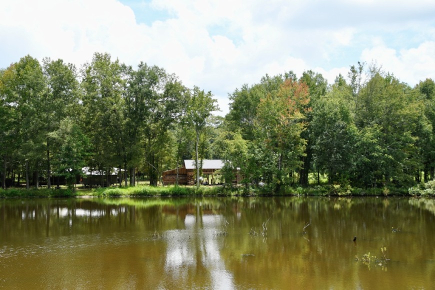 Long Piney Preserve Photo