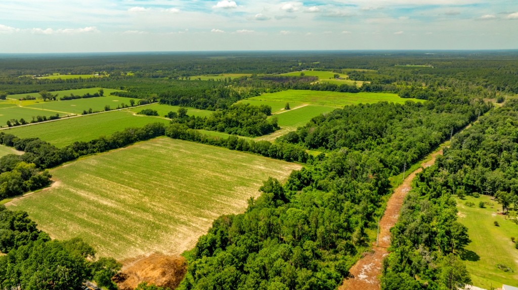 Reedy Creek Homeplace Photo