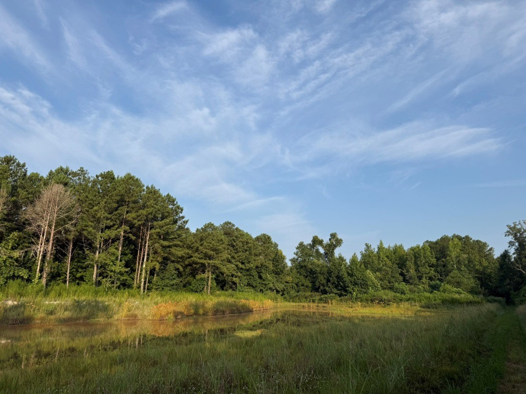 Rocky Creek Preserve Photo