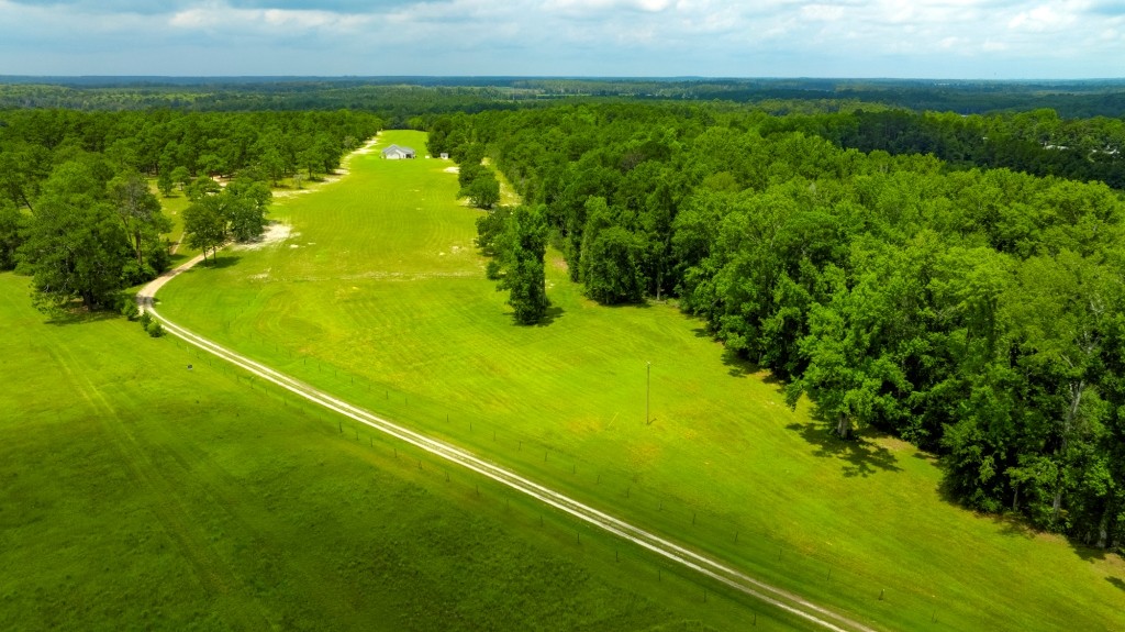Big Oak Homeplace Photo