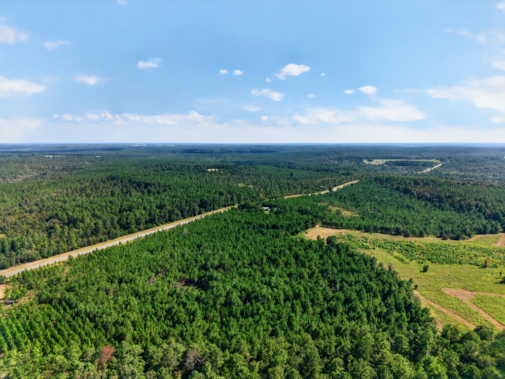 Fall Line Longleaf & Home Photo