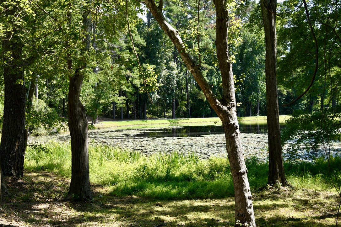 Water’s Edge Retreat Photo