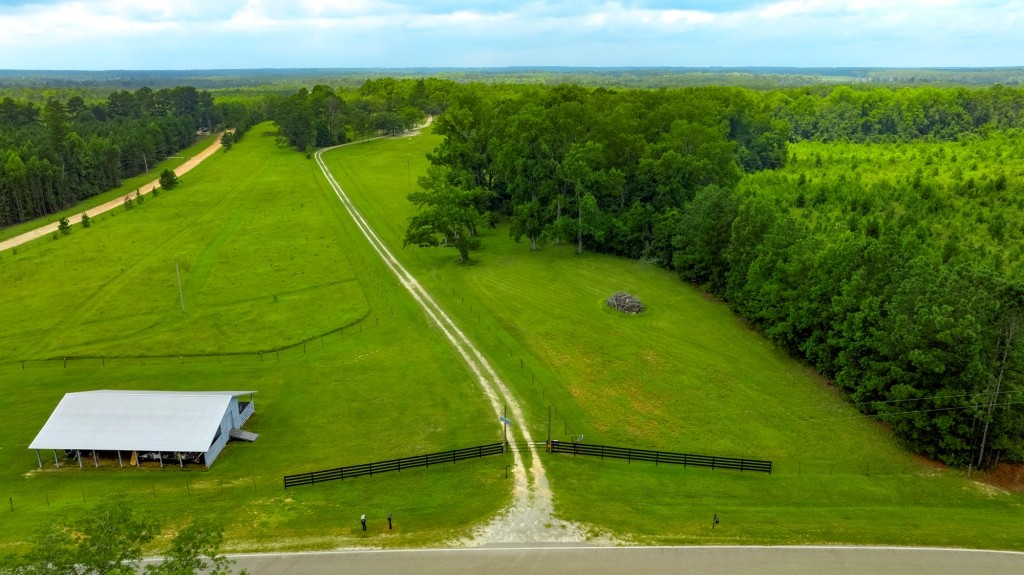 Big Oak Homeplace Photo