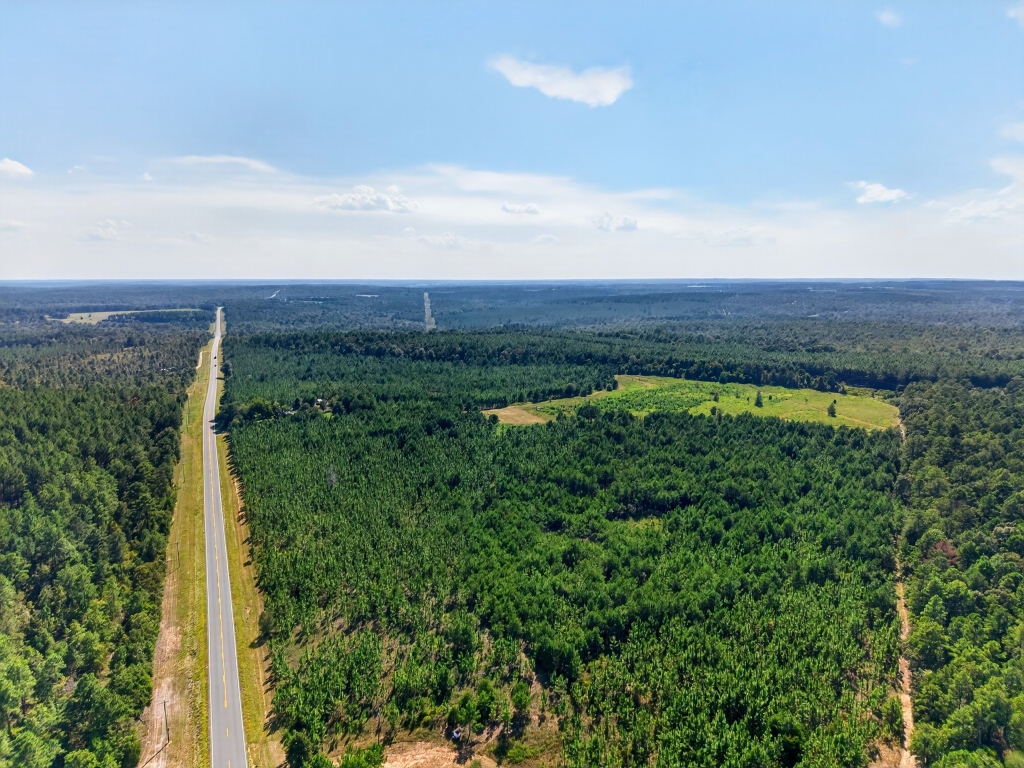 Fall Line Longleaf & Home Photo