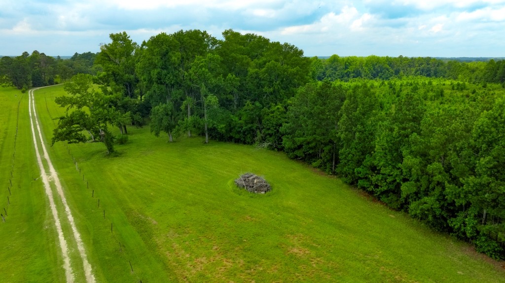 Big Oak Homeplace Photo