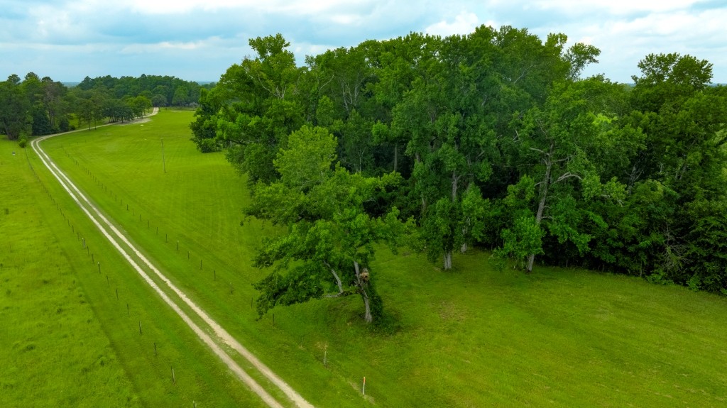 Big Oak Homeplace Photo