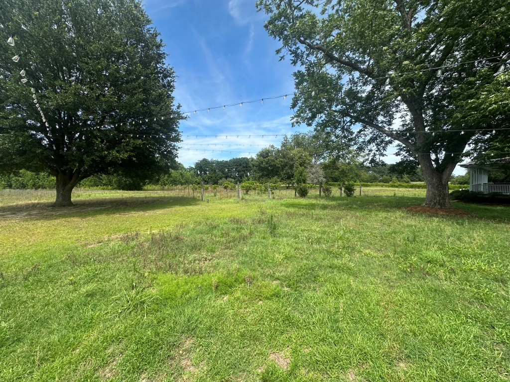 Cottontop Plantation Photo