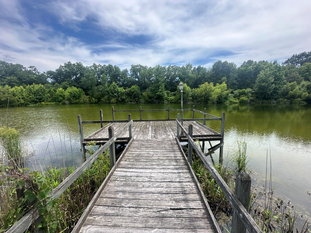 Cottontop Plantation Photo