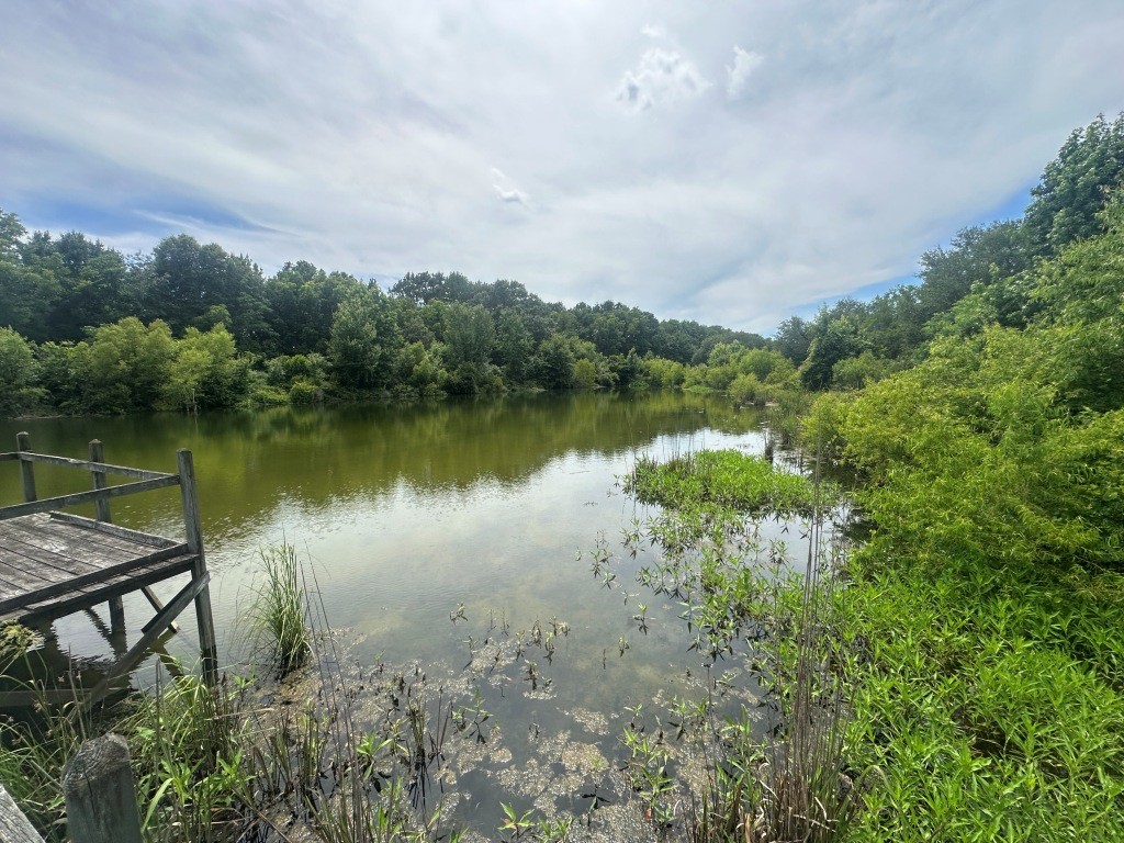 Cottontop Plantation Photo