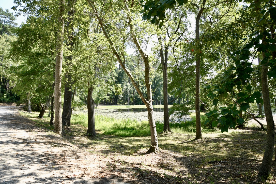 Water’s Edge Retreat Photo