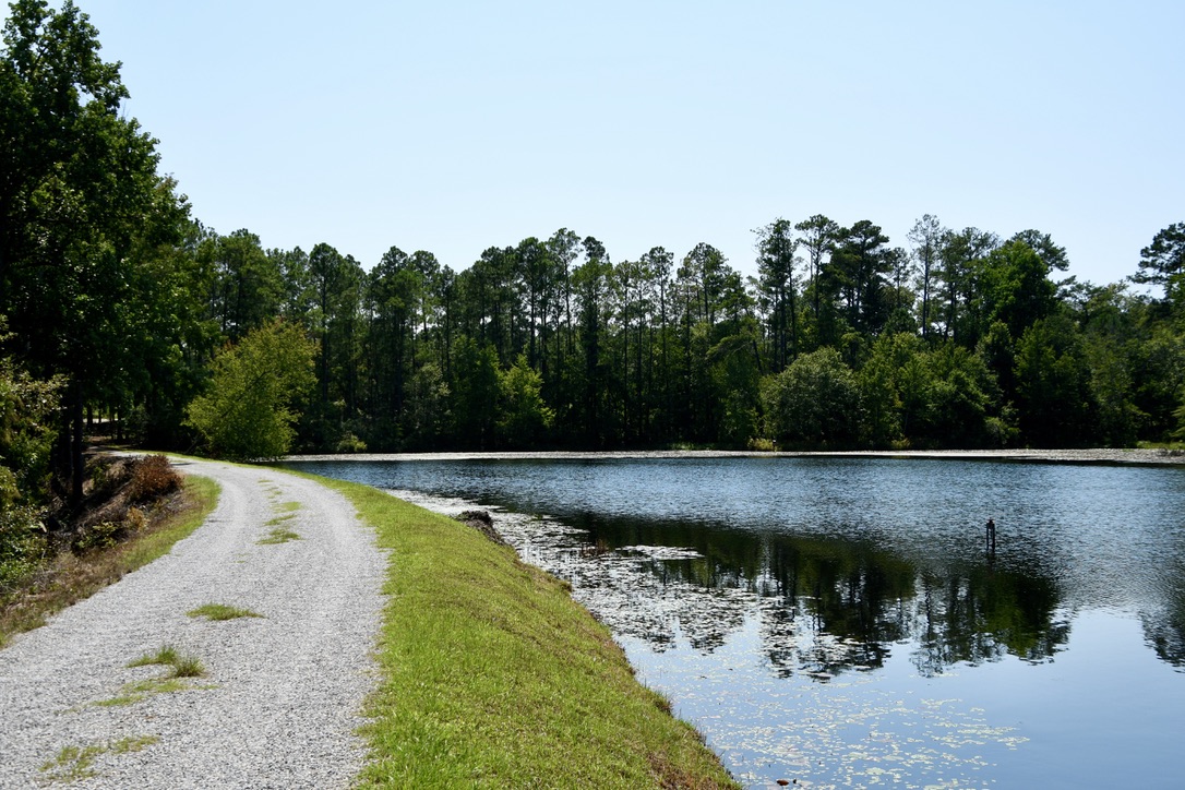 Water’s Edge Retreat Photo