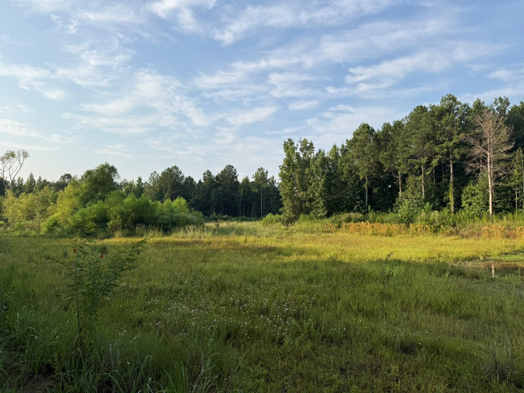 Rocky Creek Preserve Photo