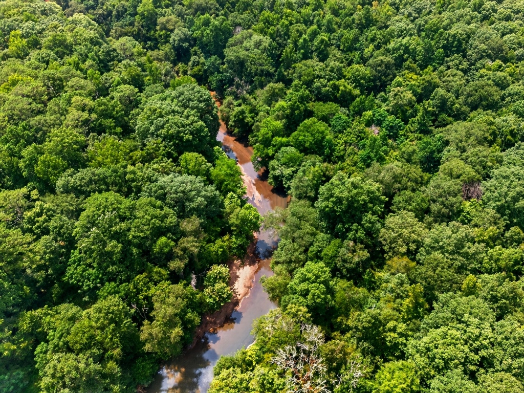Towaliga River Tract Photo