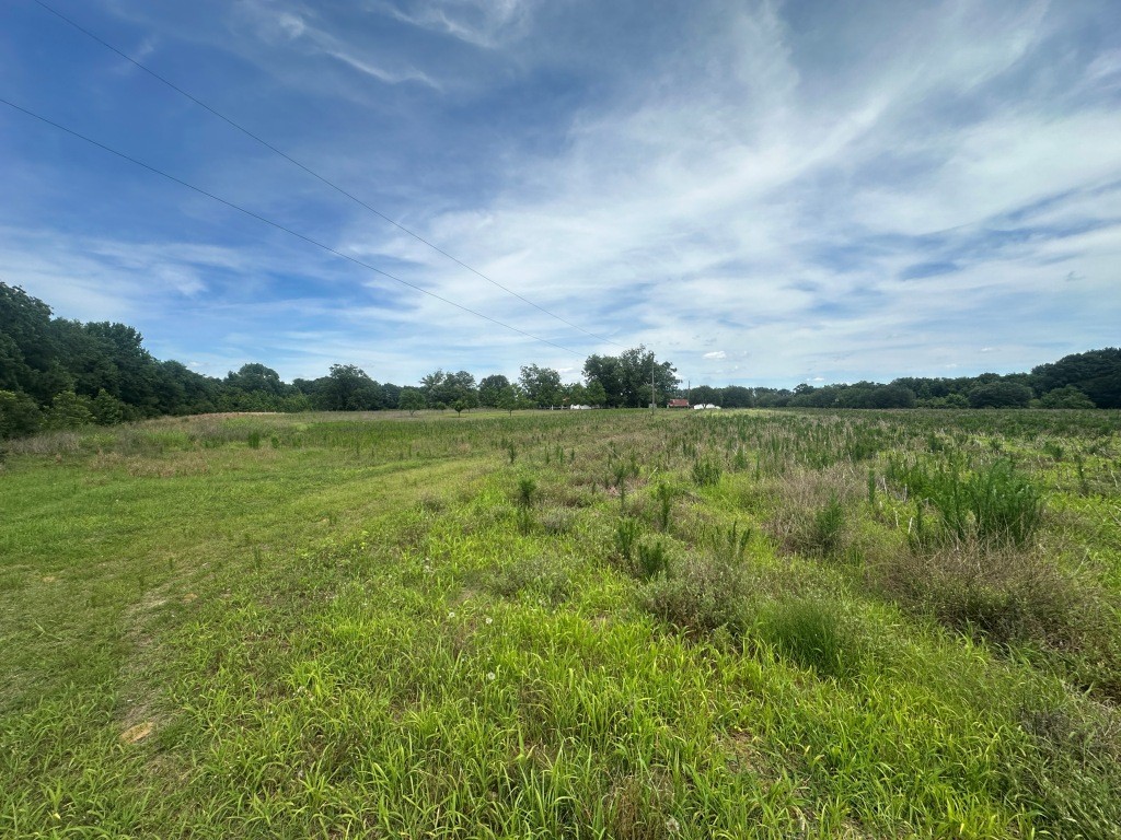 Cottontop Plantation Photo