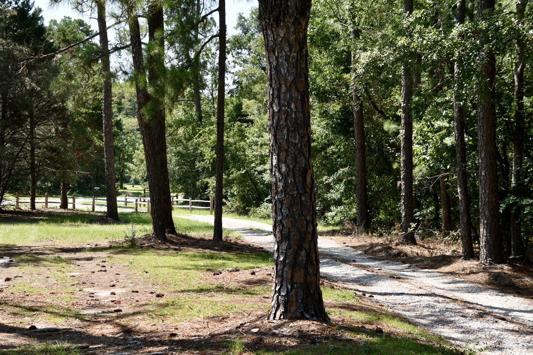 Water’s Edge Retreat Photo
