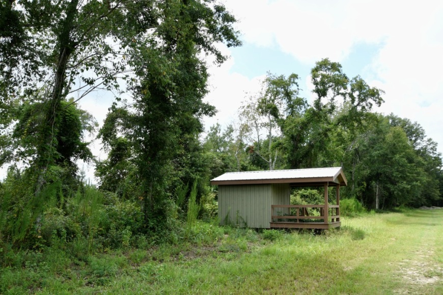 Long Piney Preserve Photo