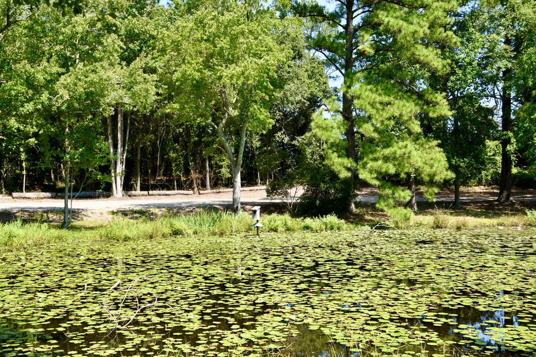 Water’s Edge Retreat Photo