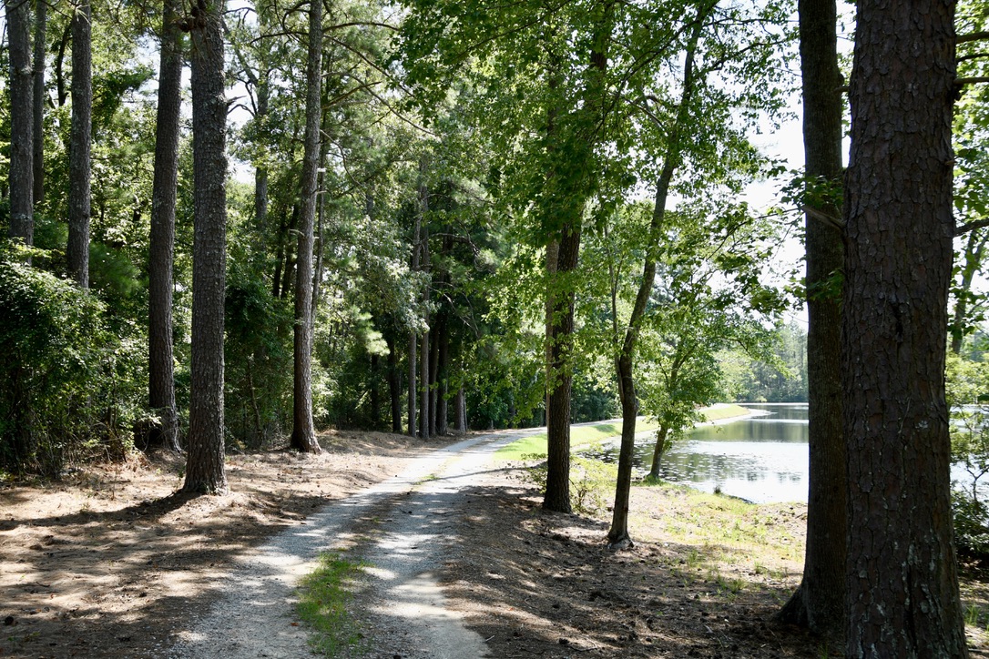 Water’s Edge Retreat Photo