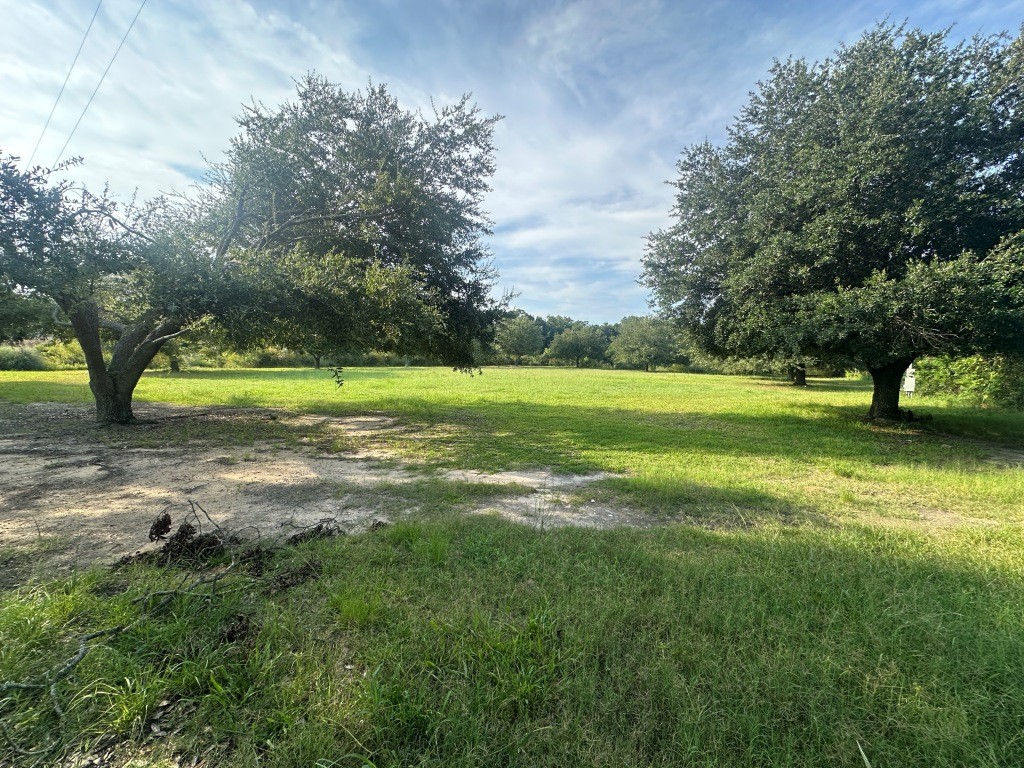 Cottontop Plantation Photo