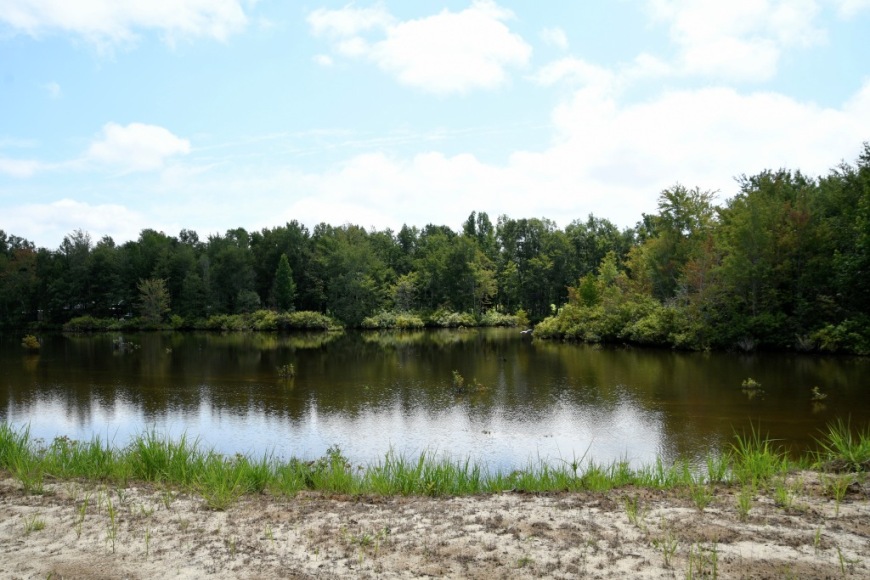 Long Piney Preserve Photo