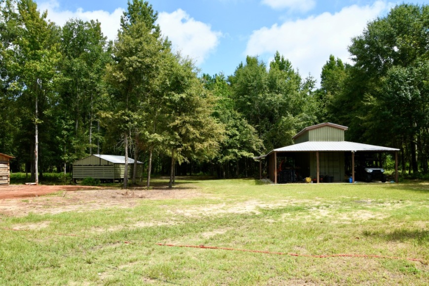 Long Piney Preserve Photo