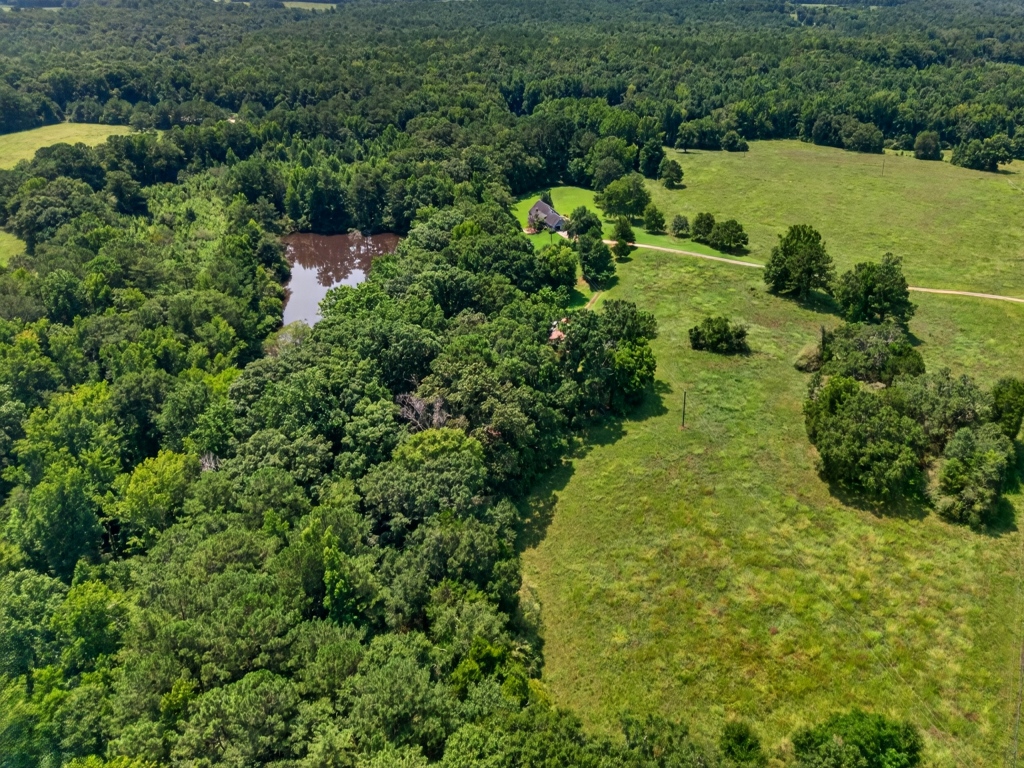 Briar Patch Farm Photo