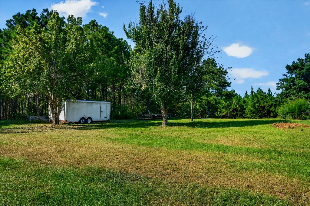 Fall Line Longleaf & Home Photo
