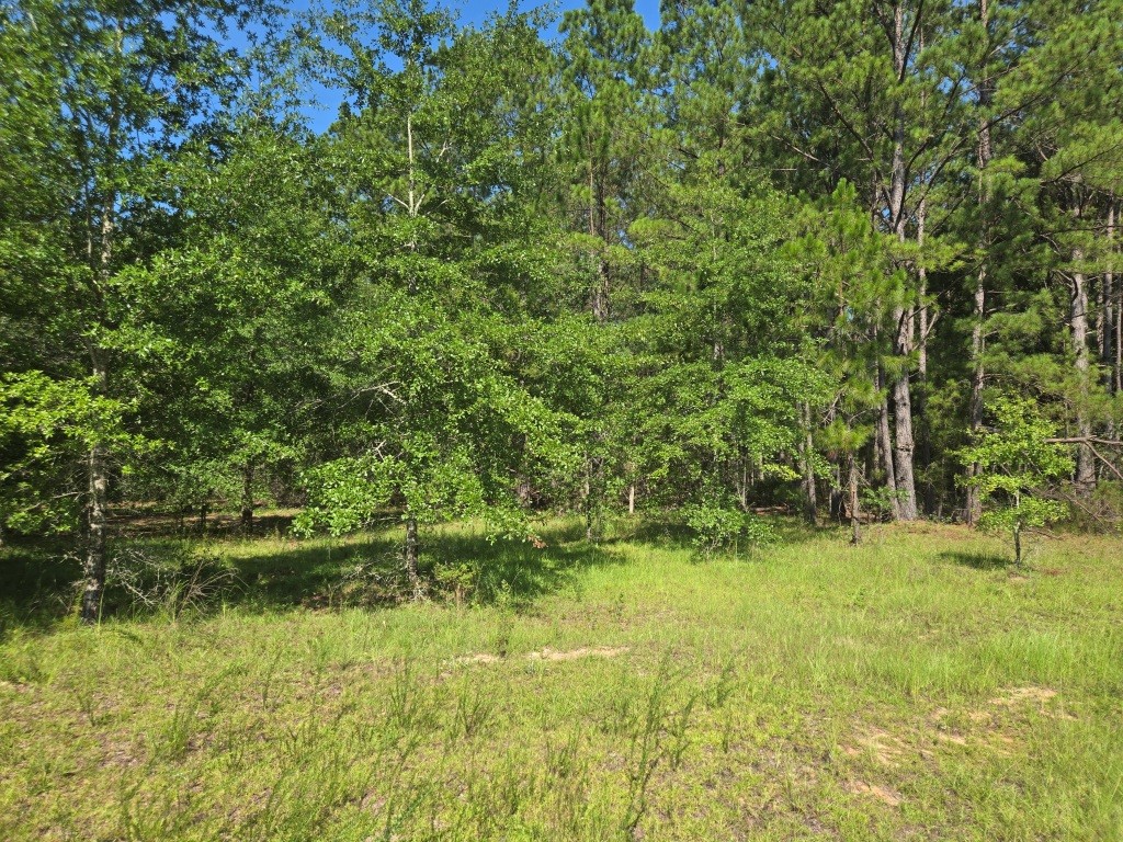 The Oaks Homesite Photo