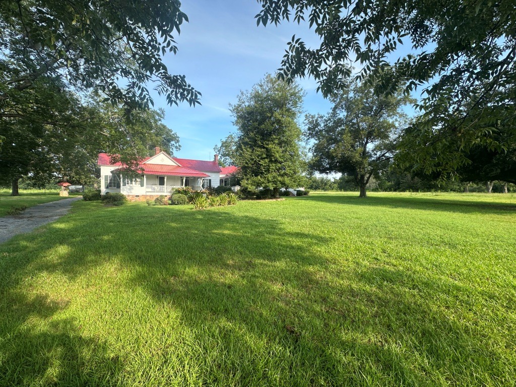 Cottontop Plantation Photo