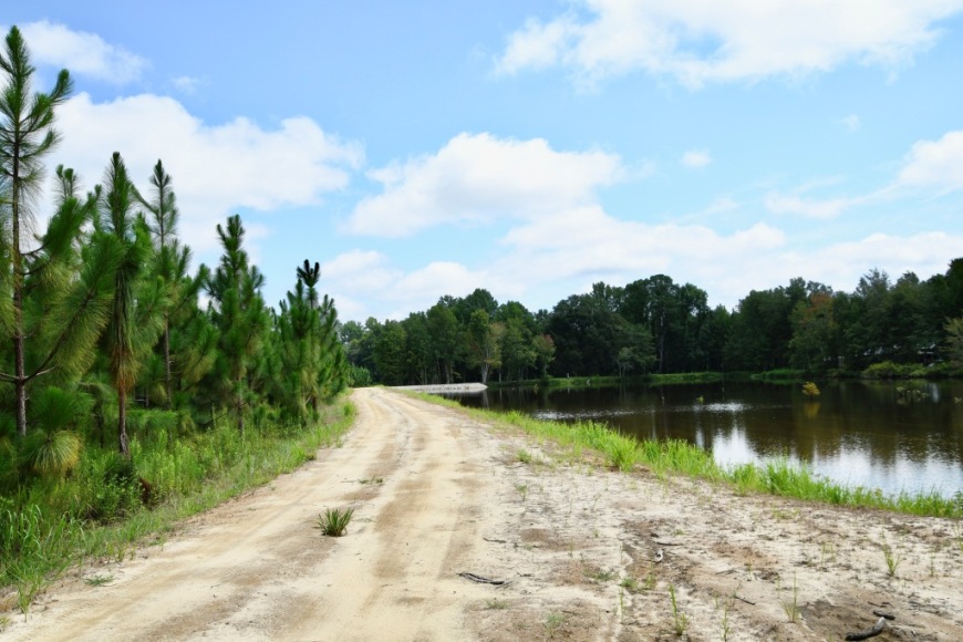 Long Piney Preserve Photo