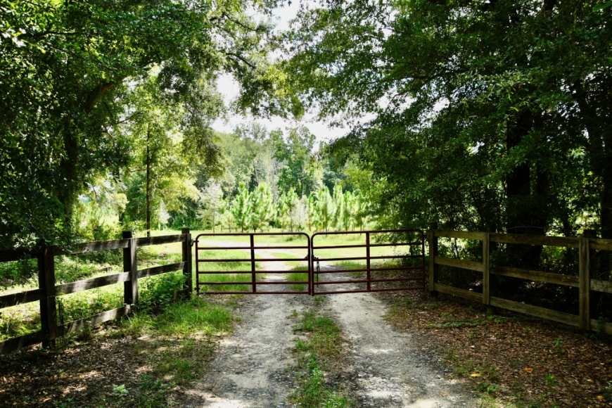 Long Piney Preserve Photo