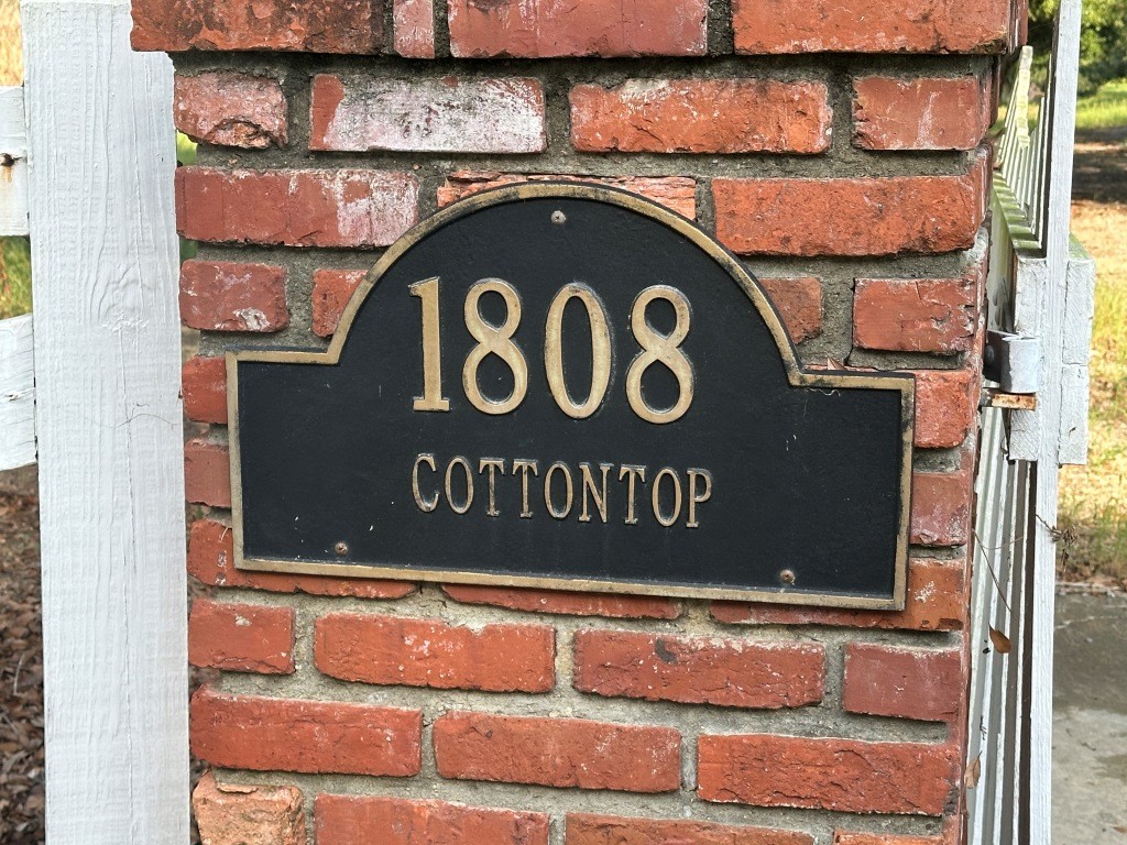Cottontop Plantation Photo