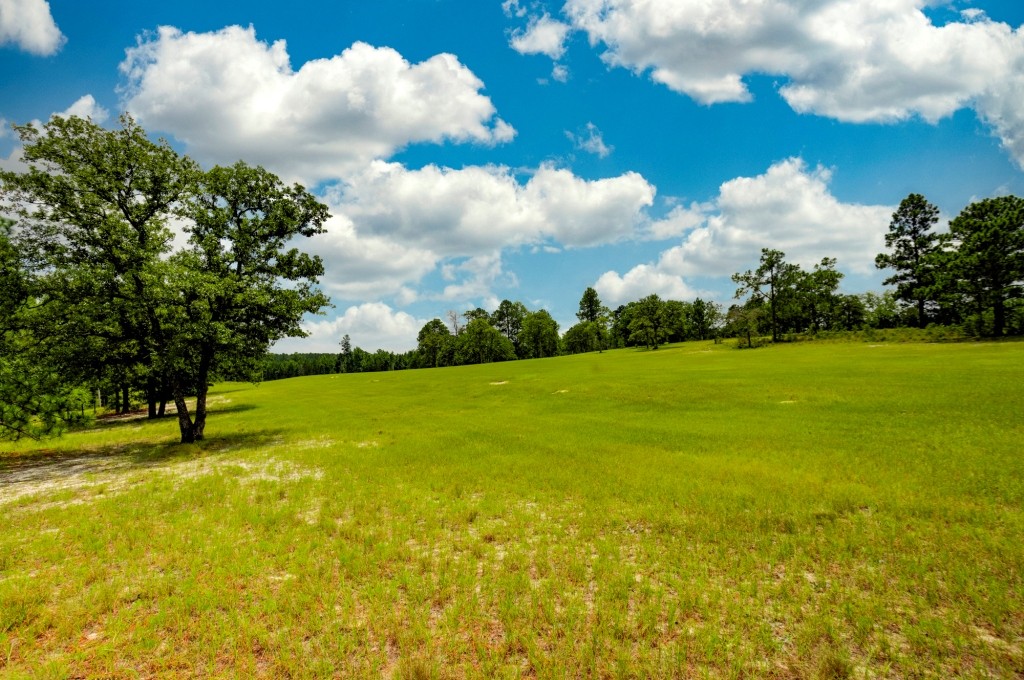 Big Oak Homeplace Photo