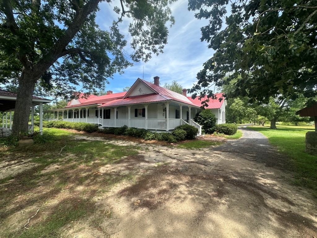 Cottontop Plantation Photo