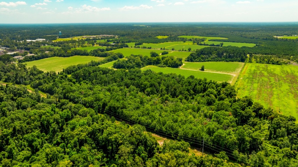 Reedy Creek Homeplace Photo