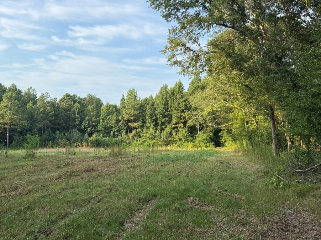 Rocky Creek Preserve Photo