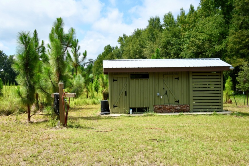 Long Piney Preserve Photo