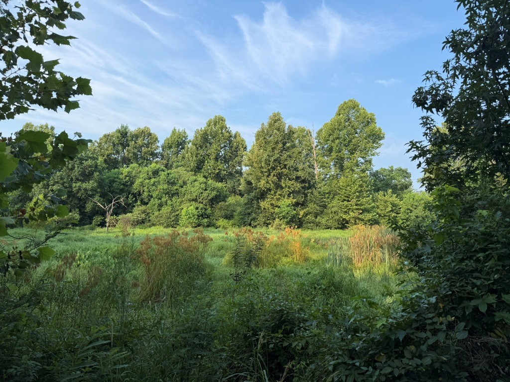 Rocky Creek Preserve Photo