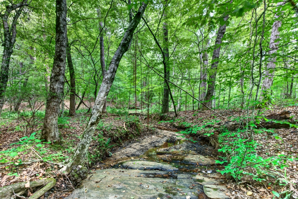 Towaliga River Tract Photo