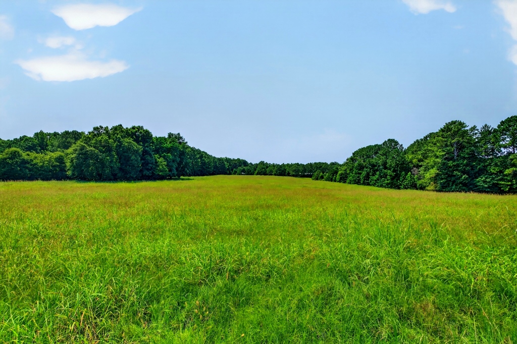 Briar Patch Farm Photo