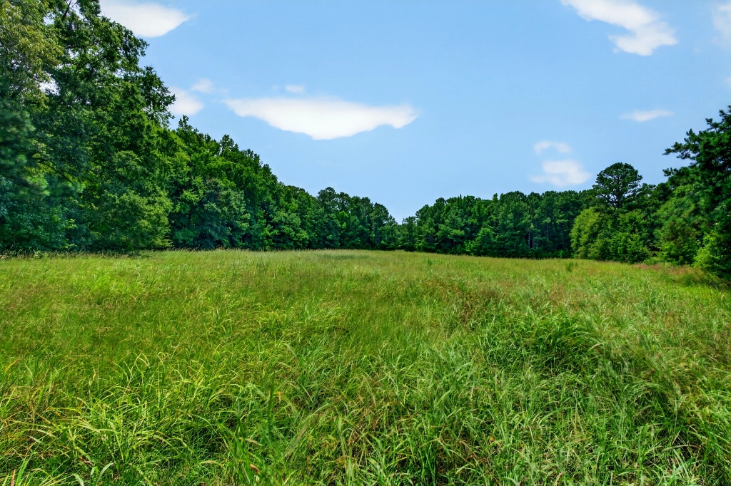 Briar Patch Farm Photo