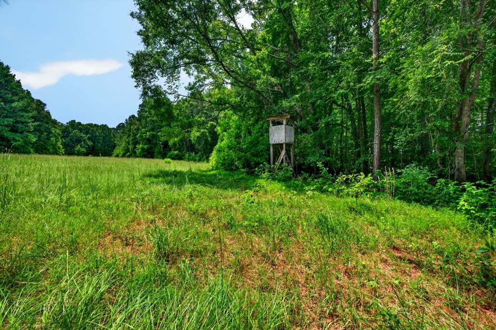 Briar Patch Farm Photo