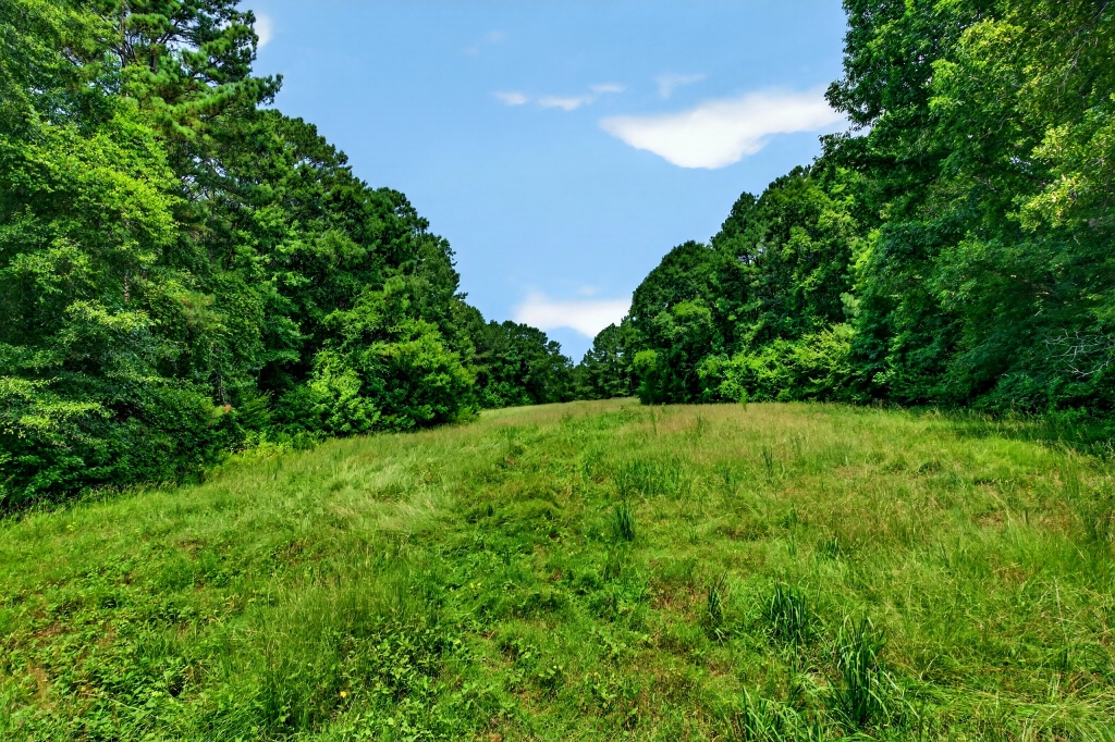 Briar Patch Farm Photo