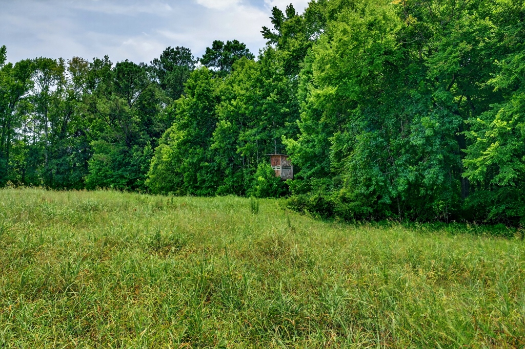 Briar Patch Farm Photo