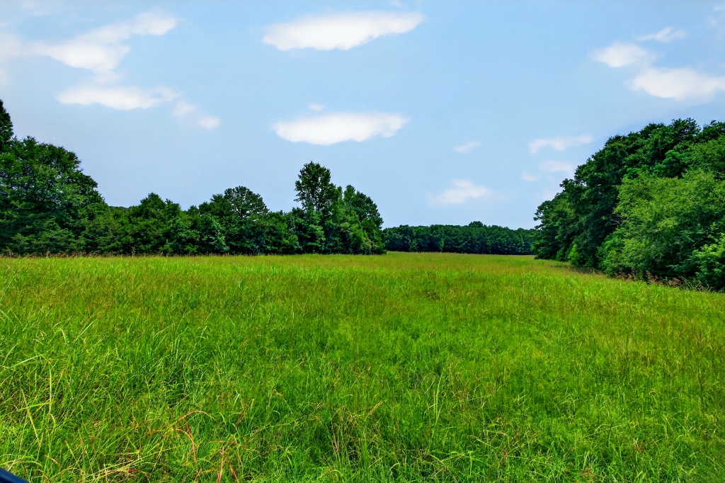 Briar Patch Farm Photo