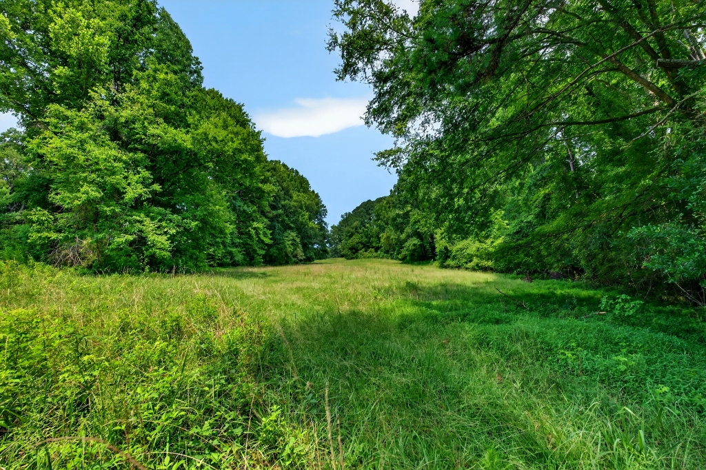 Briar Patch Farm Photo