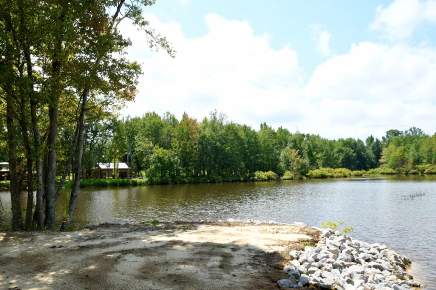 Long Piney Preserve Photo