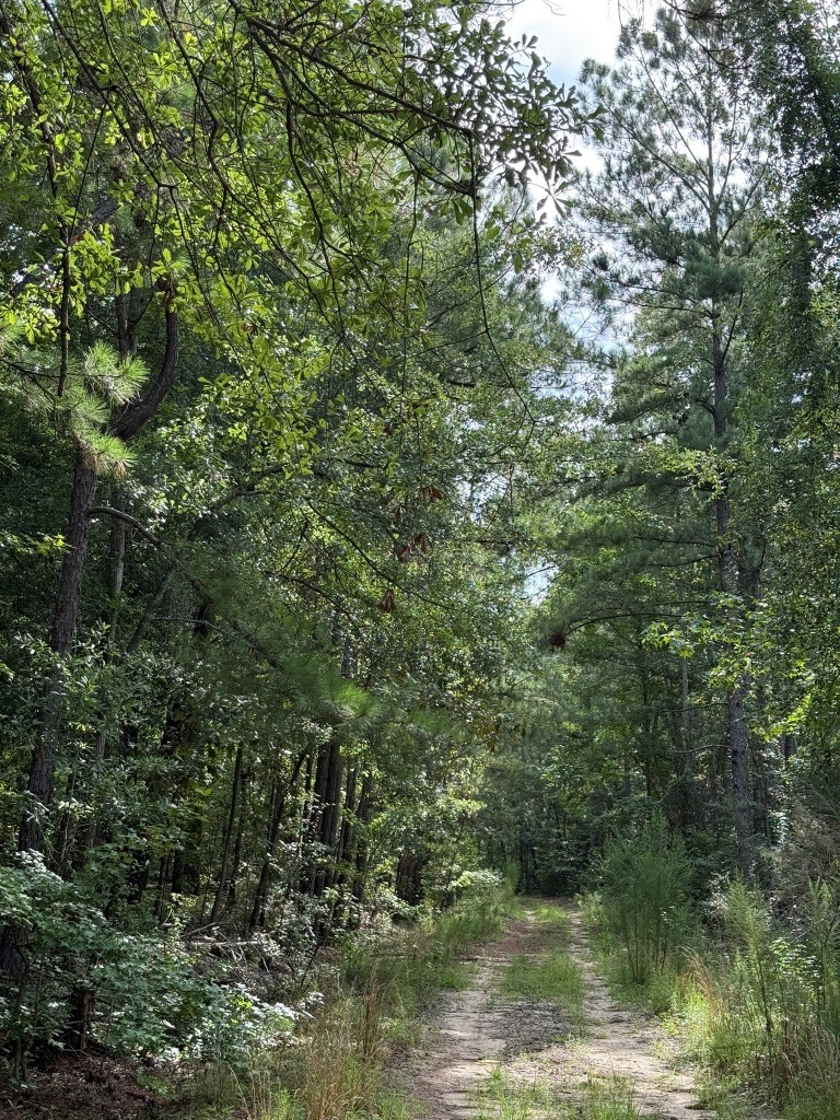 Liberty Church Road Retreat Photo