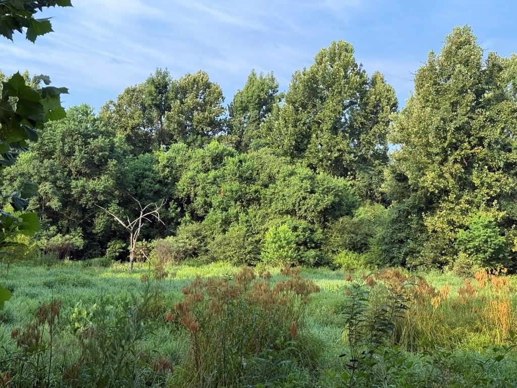 Rocky Creek Preserve Photo
