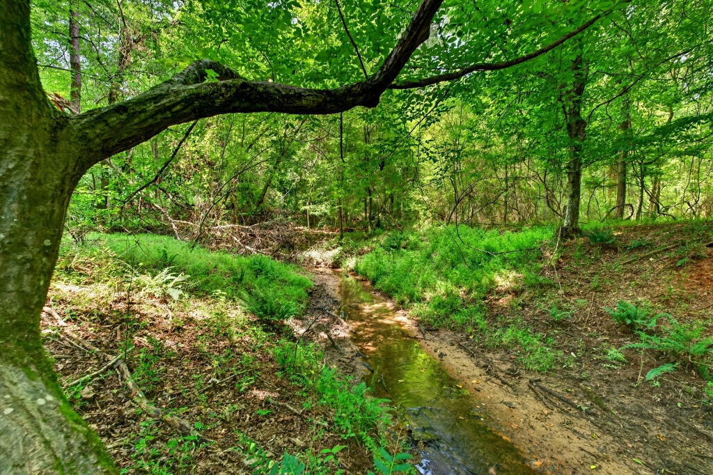 Briar Patch Farm Photo